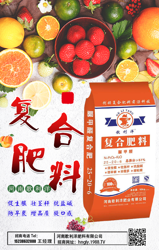 ����������ϡ�ף������µ�һ�������w���������������