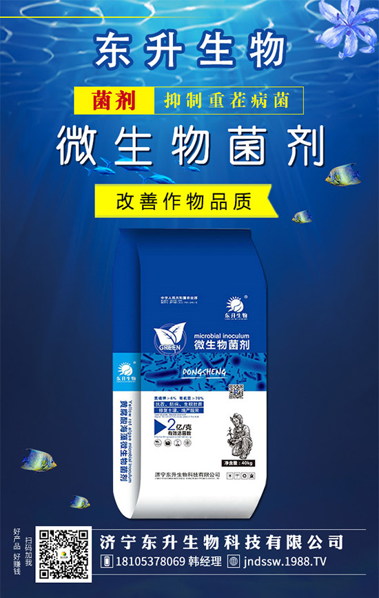 ʯ���ʲô�r��޽Ӻ���ʯ���޽ӷ�������Щ����