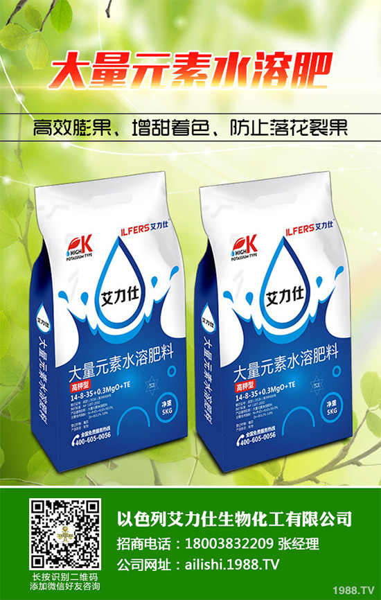 �۲˸���������ΰl(f��)������ԓ���ӷ����������������