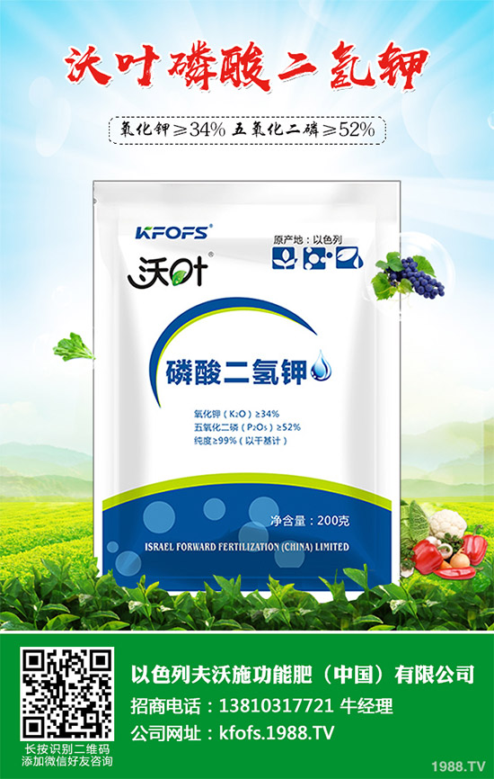 �۲˲���������ЩΣ����ԓ��η������۲˲�������Σ���c����