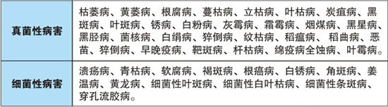 ���GԴ�r(n��ng)����ף������옷���f���������I(y��)�гɣ�֥���_����(ji��)��(ji��)����