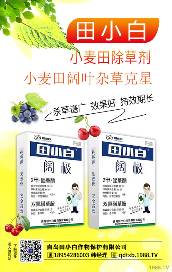 2020��1��17�ճ��݄�ԭˎ�Ј�(ch��ng)�r(ji��)���߄�(sh��)