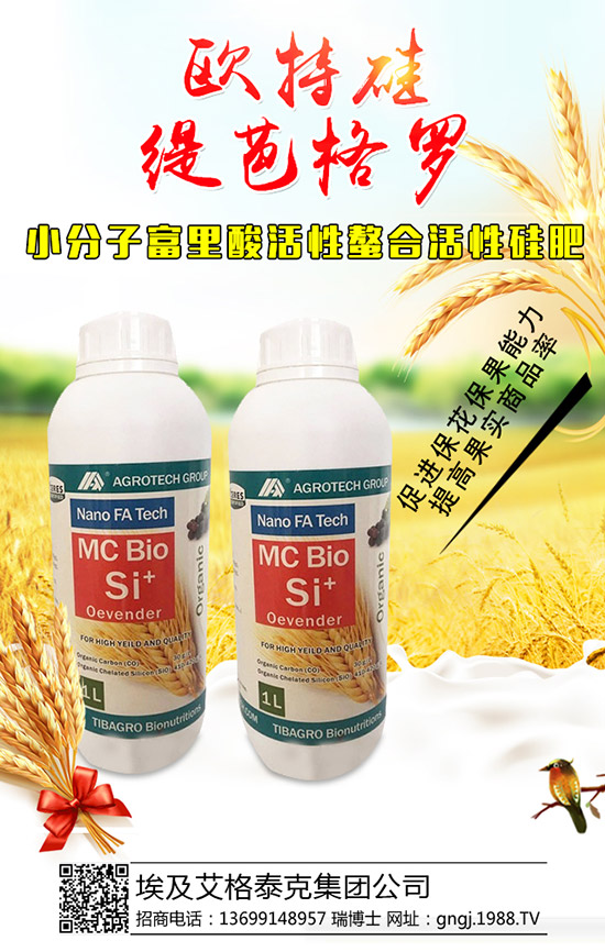 ���������Y(ji��)��������ô���£��������������������