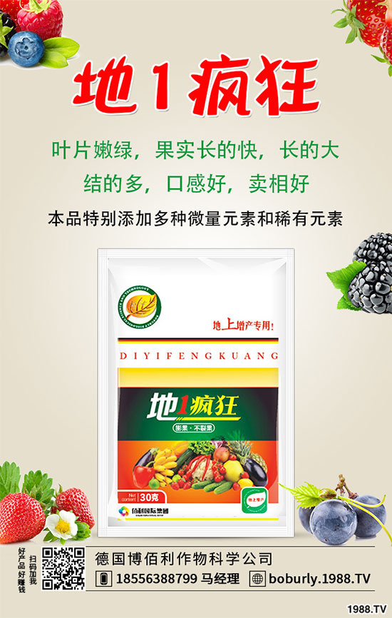 �����仨�����ʲôԭ������������������ʩ��