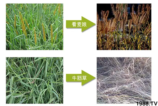 ���������𡿹�ף���Ͽ͑�����󼪣��´��옷��ؔԴ�L�L��