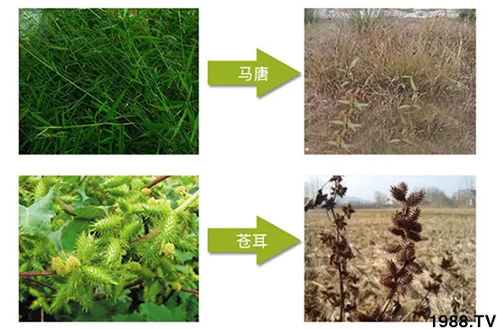 ���������𡿹�ף���Ͽ͑���������´��옷��ؔԴ�L�L��