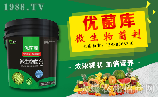 ���������ף������µ�һ���﹤�����������������