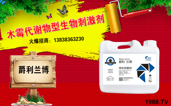 ���������ף������µ�һ���﹤�����������������