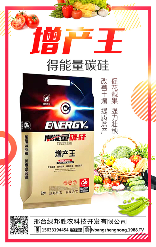 ���G����r(n��ng)����ףȫ�����񴺹�(ji��)�옷���Ҹ�������