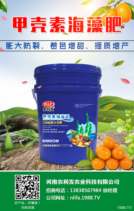 �t���c�uѪ������Щ�^(q��)�e�����߹�Ч�÷��cʹ�ý���