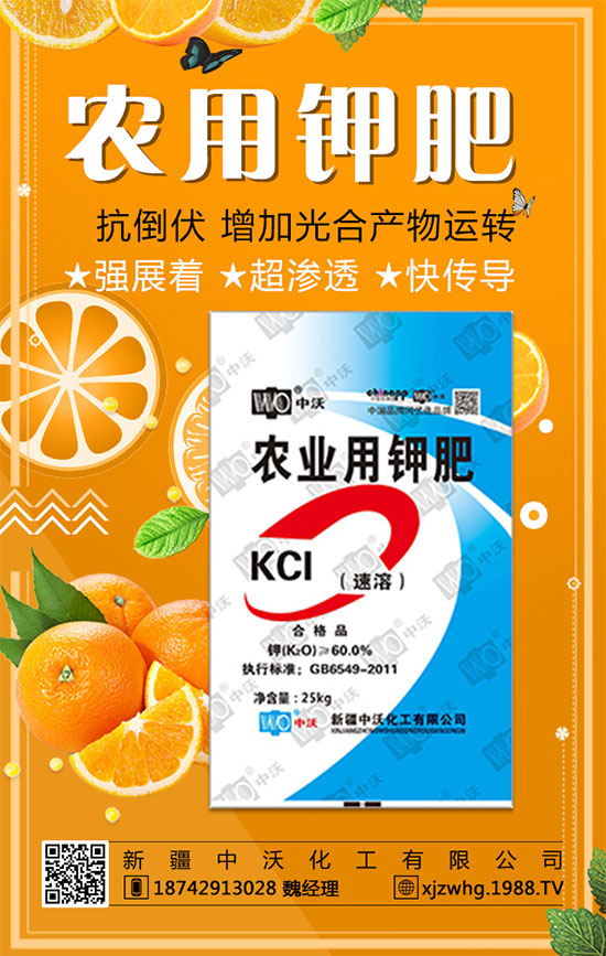 ���½����ֻ�������ף������������옷(l��)�����꼪�飡2020�L�Lؔ(c��i)Դ��