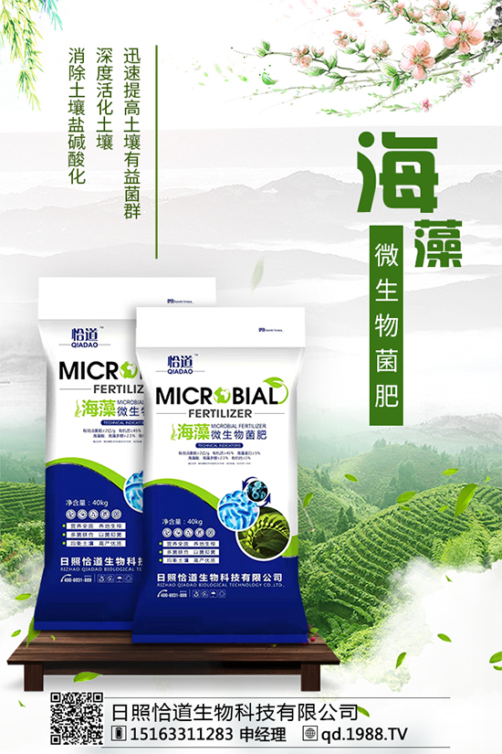     ��������Щ�I�B(y��ng)�rֵ����������ʲô��̎��