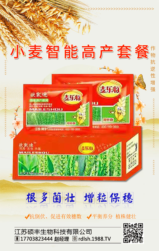 �����K�T�S���ף���2020�����w�����������d¡���H���Ҹ���