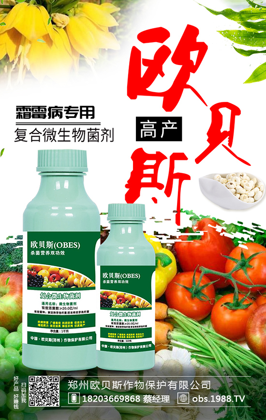 ����`���� ����`ʹ��ע�����