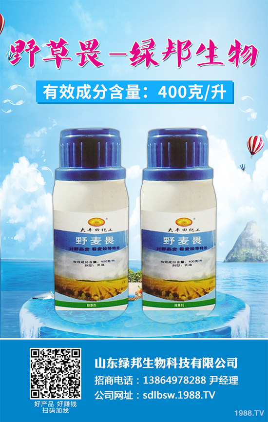 С�����݄��r��