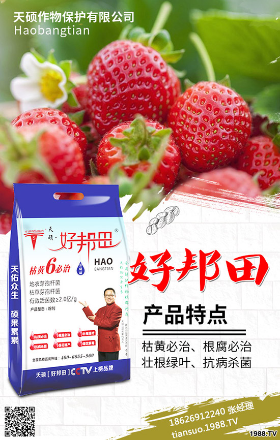 2020���r(n��ng)��Nֲʲôˮ��ٍ�X����Щ�N����Ʒ�N���^����