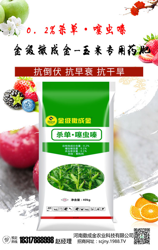 【撒成金】祝全國朋友,新年快樂,鼠年大吉,身體健康,財源廣進