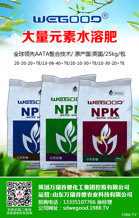 ¶������ʲô�r(sh��)��Nֲ��¶�������߮a(ch��n)�Nֲ���g(sh��)