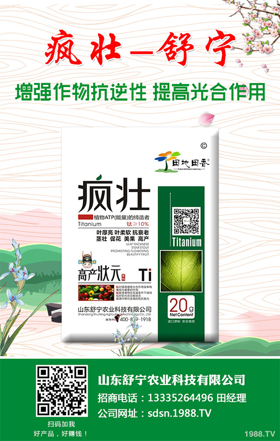 種植香菇需要投入多少?香菇種植成本利潤(rùn)分析