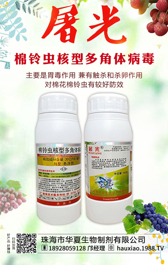 ���A�������ף������������옷(l��)�����꼪�飡�f(w��n)������ƽ������