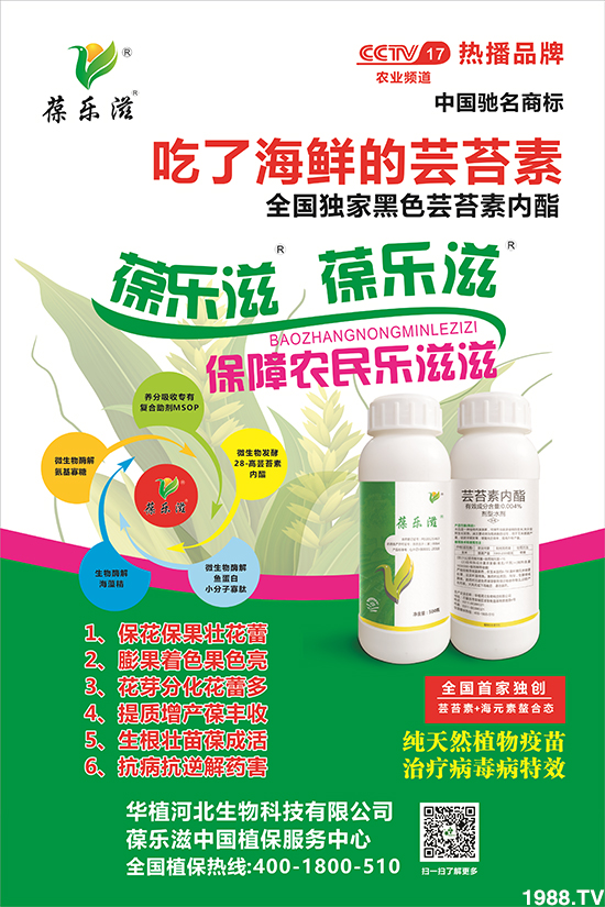 ���Aֲ�ӱ���ף����������������ⲽ���ߣ������д��\(y��n)��