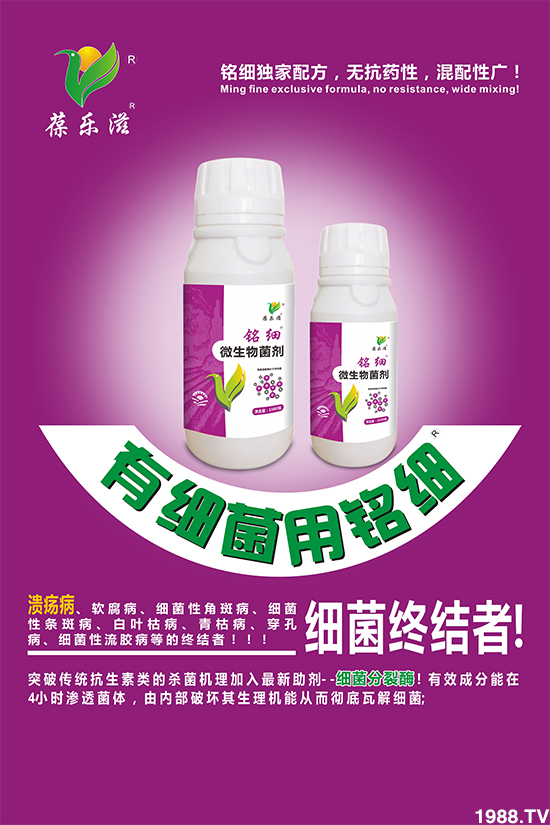 ���Aֲ�ӱ���ף��������������ⲽ�����������д��\(y��n)��