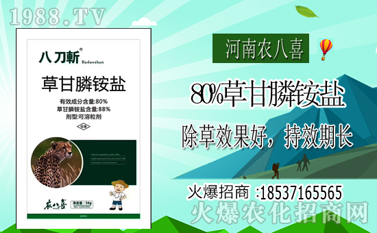 �������r(n��ng)��ϲ��ףȫ��(gu��)�������µ�һ�����_������f��������