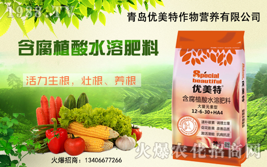 �����u��(y��u)���ء�ף��Һϼ҈F(tu��n)�A���Ҹ��옷(l��)���w�v������