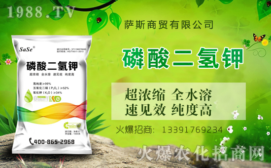 ���_˹���Q(m��o)��ȫ�w�T��ףȫ���������µ�һ����������\�����X�]�꣡