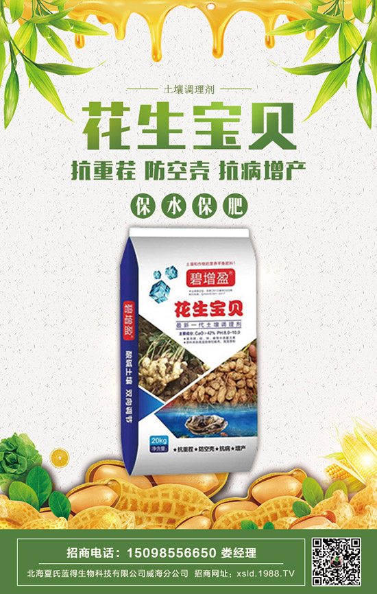     2020���������@�r(ji��)�����ݱP�������@�r(ji��)�����(b��o)��