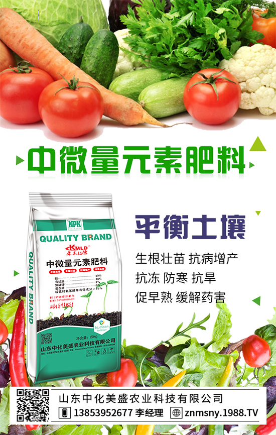 冬季草莓怎么管?冬季草莓管理措施!