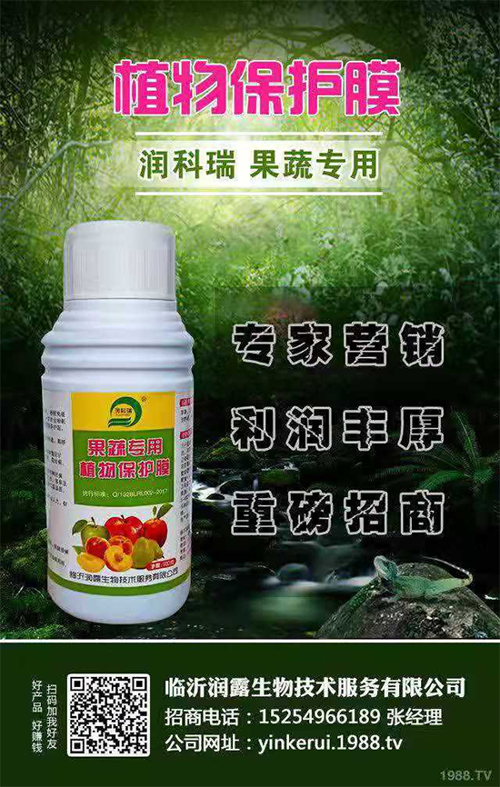 ���R�ʝ�(r��n)¶���ףȫ��(gu��)�������µ�һ�����������������·Q�ģ�һ�����!	