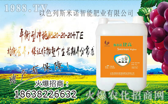 ����ɫ��˹���Z��ףȫ��������������f��������