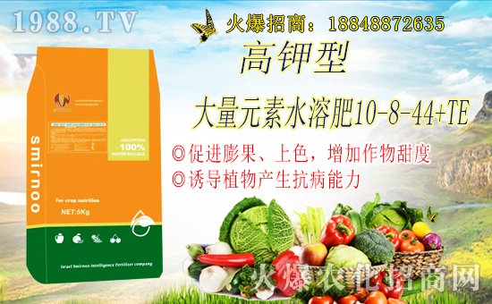 ����ɫ��˹���Z��ףȫ��������������f�����⣡