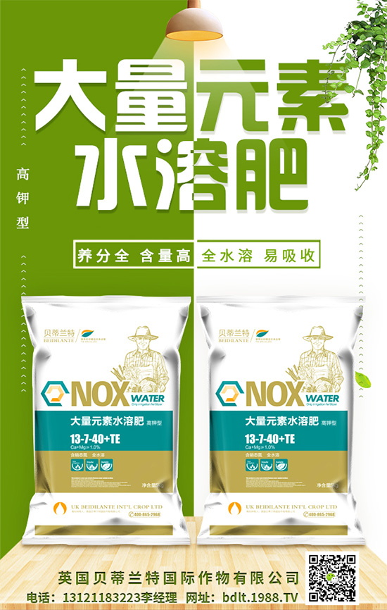 ��Ӣ��ؐ���m�ء�ף���g�gϲϲӭ�������f������ƽ������