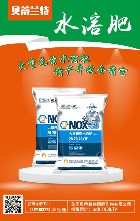 ��Ӣ��ؐ���m�ء�ף���g�gϲϲӭ�������f������ƽ������