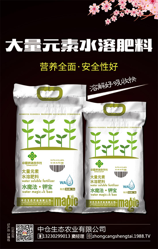 ���Ђ}���B(t��i)��ȫ�w�T����ף���Ͽ͑�����옷�������³���