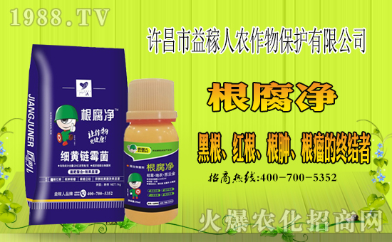 ���S��������ˡ�ף������µ�һ����ؔ�\�L�L�������d����