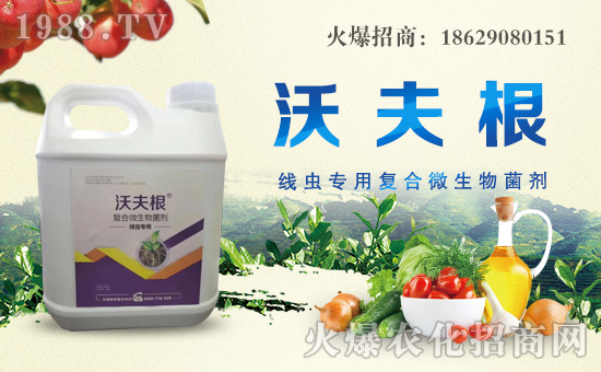 ��������ȫ�w�T��ף������µ�һ���������³����H�Қg��(l��)��