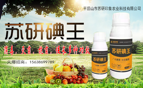 ��ƽ�ɽ���K��ӡ��ף������µ�һ�������w�����������³ɣ��f��������