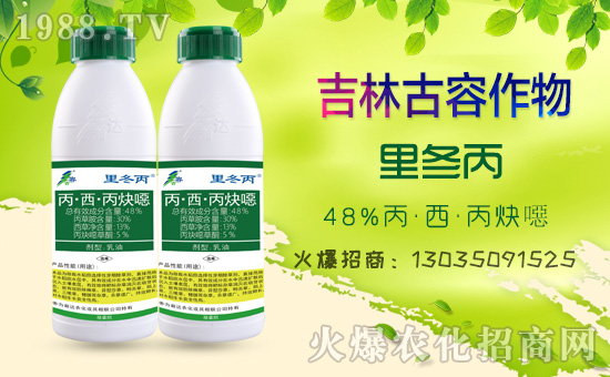     �����ֹ��ݡ�ף������w��������ͥ��̩���f��������