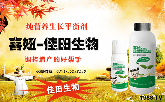 �����ݼ������ףȫ���r(n��ng)�Y��(j��ng)�N����������󼪣��´��옷��