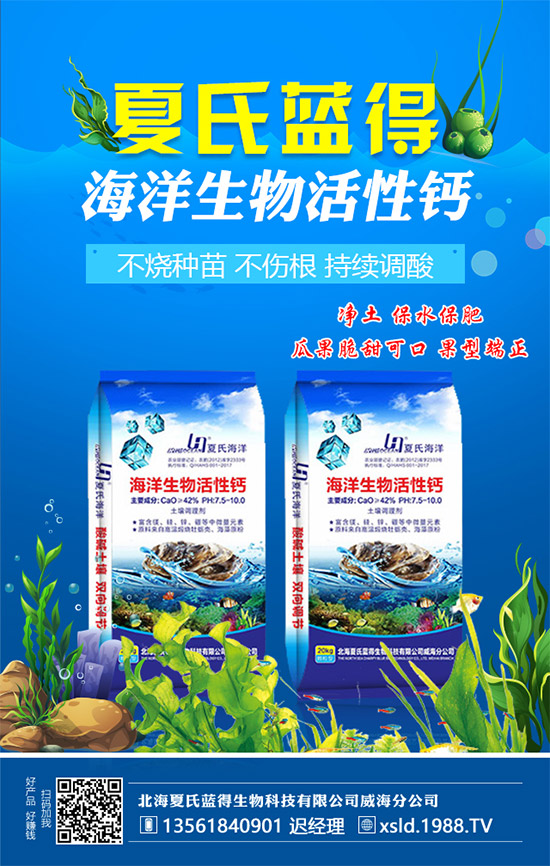 �����������{(l��n)�á���ף���Ͽ͑������д��\(y��n)��ؔ(c��i)Դ�L�L���������³���