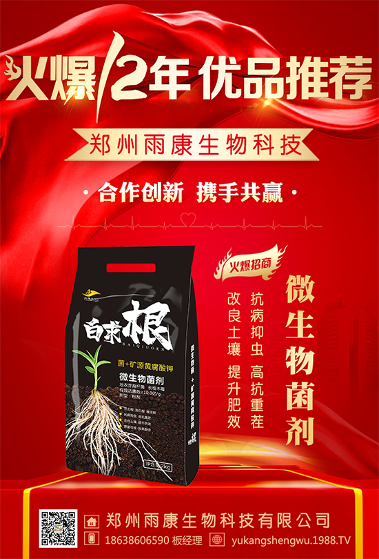 �������꿵�����ף�������옷���f�´����ϼҚg����