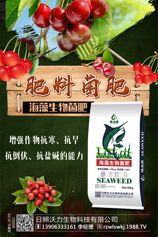 芒果種植需要哪些條件?芒果種子剝殼催芽技術(shù)!