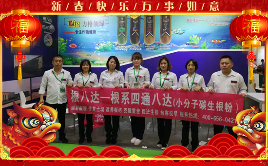 ��Ӣ������ף��2020�������³����f���������������