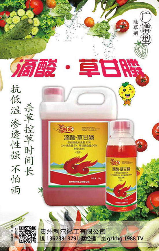 ������������ף������µ�һ����ؔԴ�L�L�������d¡��