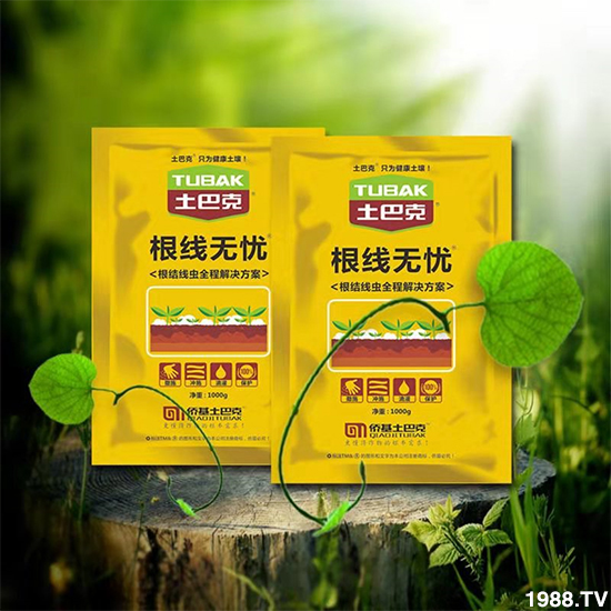 ���S�����ףȫ���������w�������f�����⣡