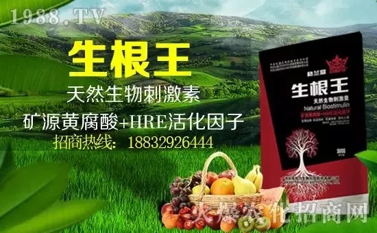 С���q�r�����e��r���^2500Ԫ/����