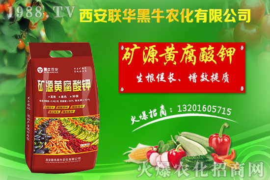 �＾����ԓ��ι������＾������푪(y��ng)������Ĵ��`�^(q��)��